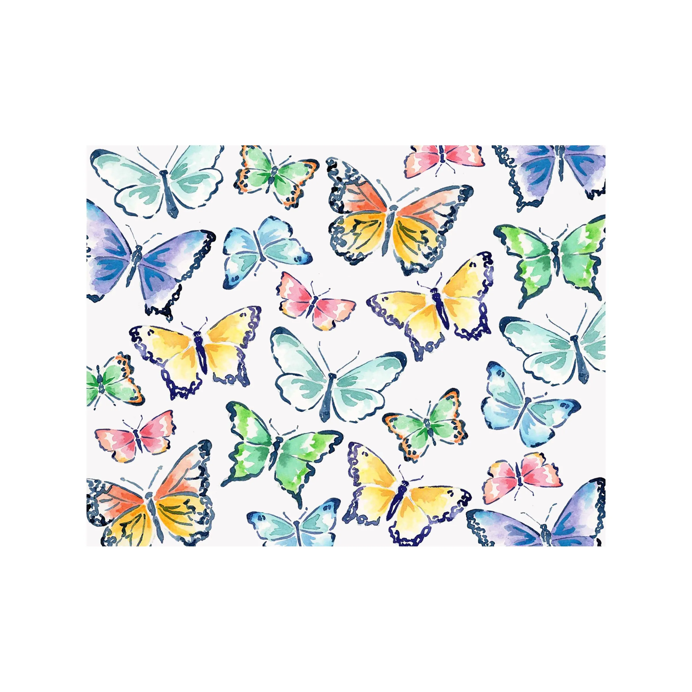 Butterflies Note Cards